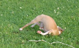 b0069169_234020.jpg