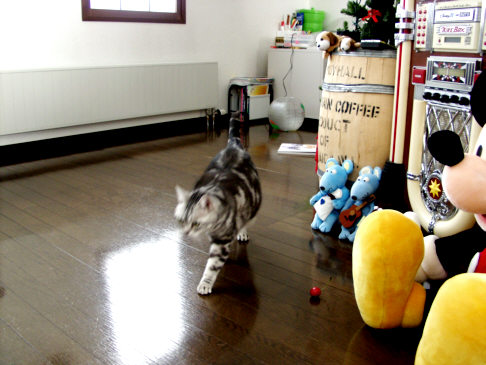 c0026870_1904653.jpg