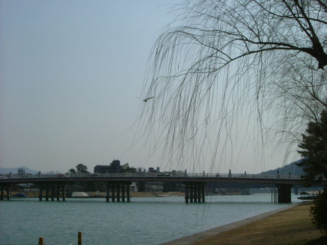 b0055171_15501757.jpg
