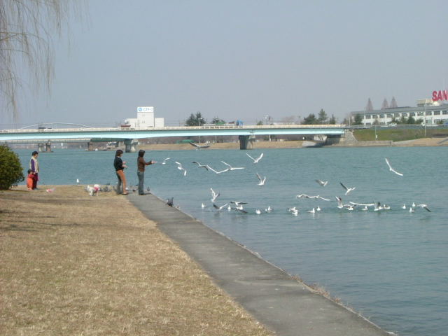 b0055171_1552568.jpg