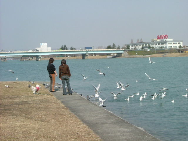 b0055171_15552790.jpg