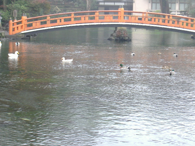c0032176_18424396.jpg