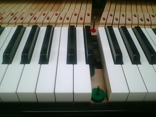 c0072698_0352360.jpg