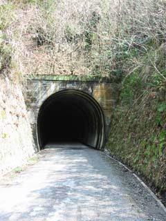 b0000209_21351666.jpg