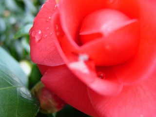 a0034419_9555693.jpg