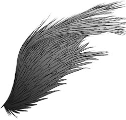 b0033954_20314946.jpg