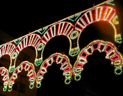 c0009070_73536.jpg