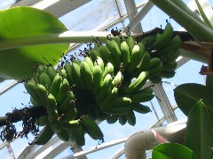 b0039373_16313027.jpg
