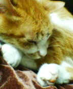 c0026178_143471.jpg