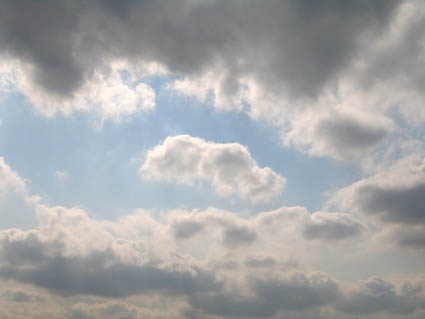 c0004193_14123190.jpg