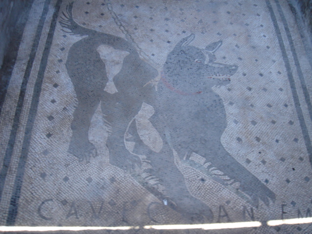 c0053795_801524.jpg