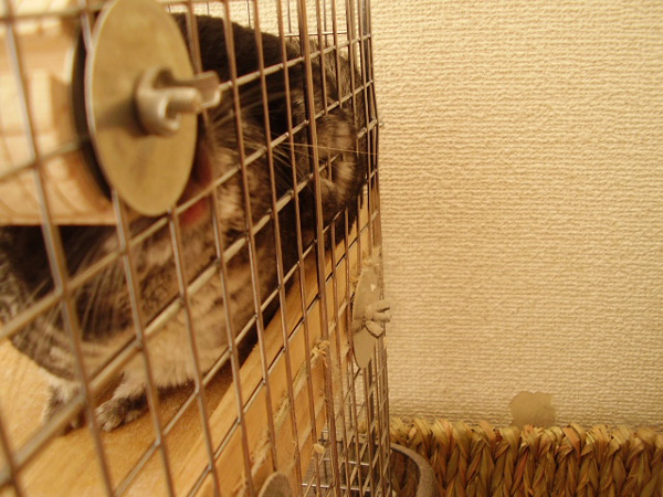 a0027007_10122969.jpg