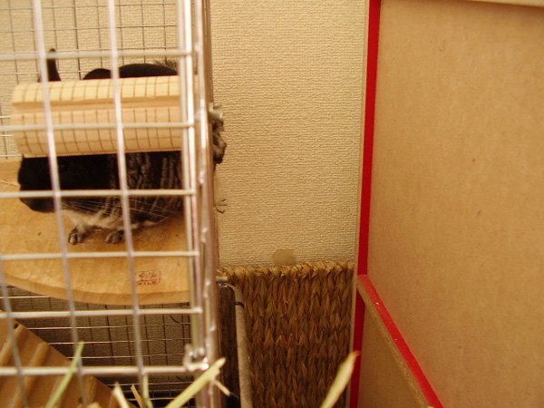 a0027007_10141727.jpg
