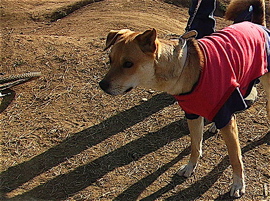 b0065730_0155873.jpg