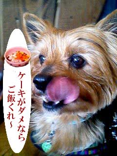 c0033145_21425278.jpg