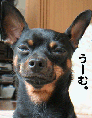 c0012571_15244267.gif