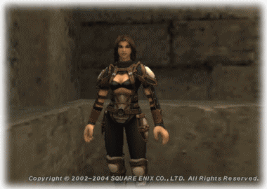 b0055276_20194279.gif