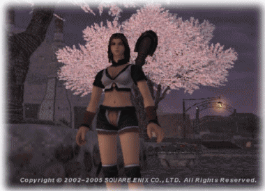 b0055276_20215719.gif
