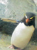c0023076_1830655.jpg