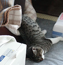 c0035001_15504141.jpg