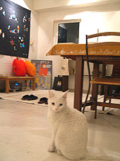 c0041201_102407.jpg