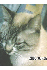 c0011446_2011757.jpg