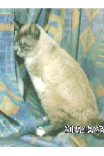 c0011446_2073737.jpg