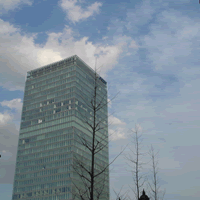 c0062361_23492642.gif