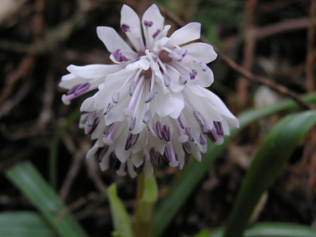c0042869_22584434.jpg