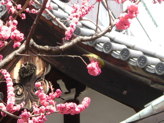 b0055171_23203444.jpg
