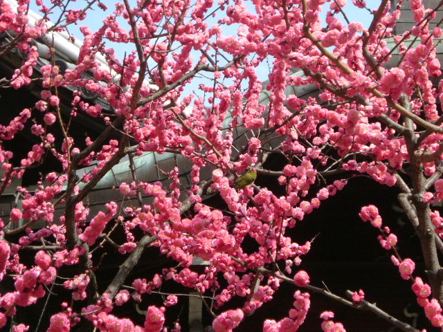 b0055171_2320942.jpg