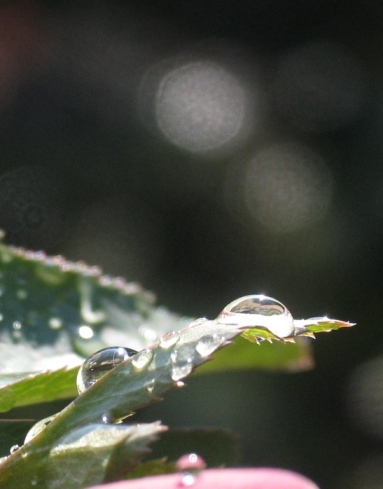 c0039974_0173249.jpg