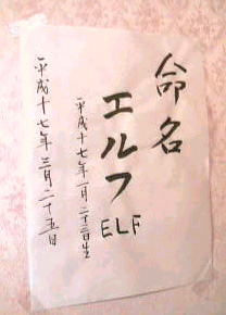 b0032175_1742312.jpg