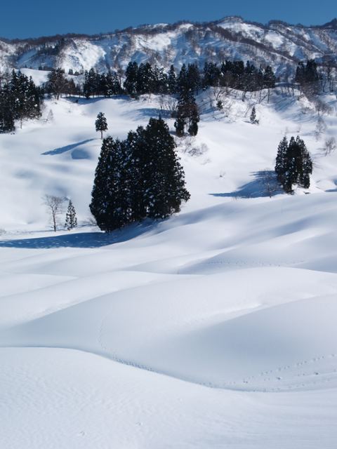 a0025576_20224846.jpg