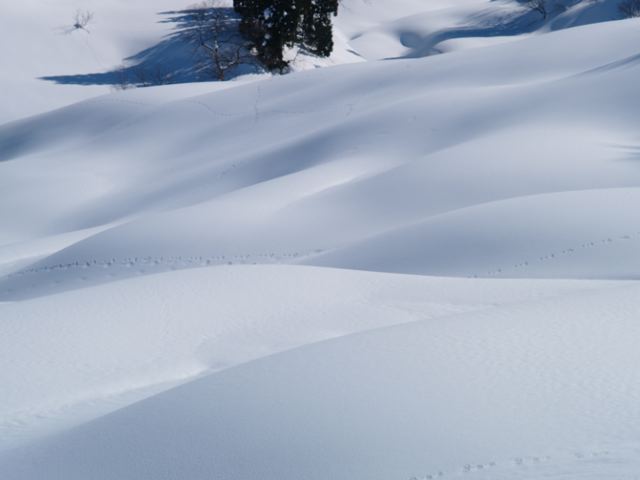 a0025576_20231571.jpg