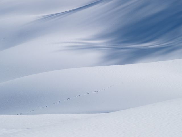 a0025576_20243160.jpg