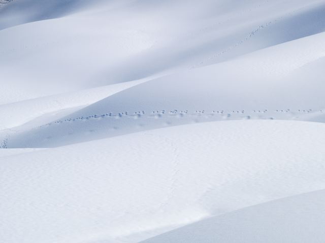 a0025576_2024384.jpg