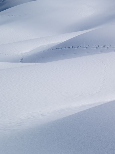 a0025576_20245580.jpg