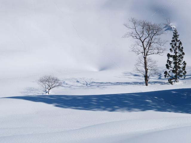 a0025576_20252252.jpg