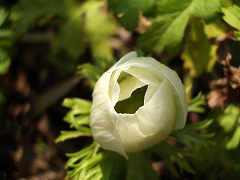 c0045882_20581938.jpg