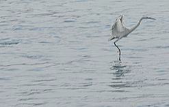 a0003697_2201445.jpg