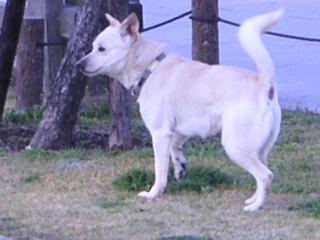 a0018200_18332926.jpg