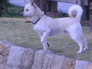 a0018200_18341160.jpg