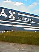 c0027400_22243848.jpg