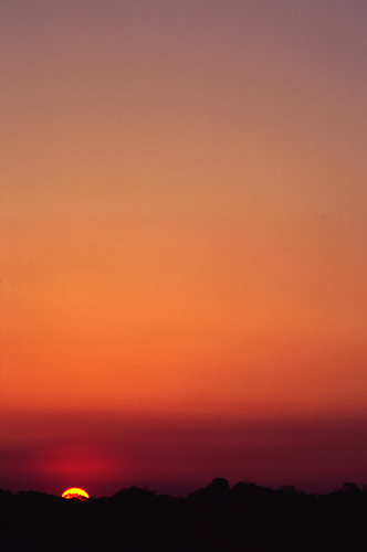 c0064907_2494128.jpg