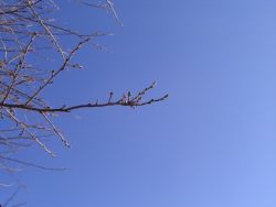 b0021132_1815832.jpg