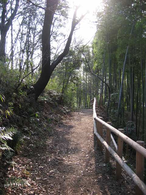 b0031237_1773272.jpg