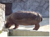 c0013343_0221830.jpg