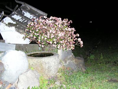 c0072843_22353553.jpg