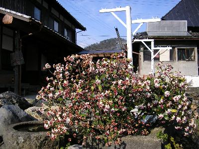 c0072843_3424855.jpg